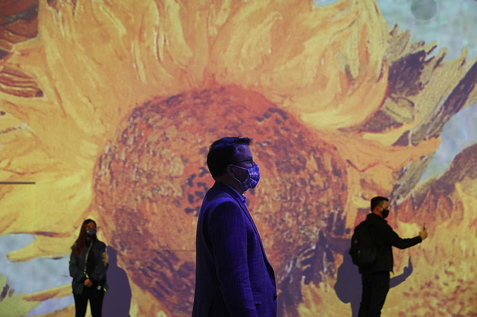 Fully Immersive Digital van Gogh Experience Coming to Michigan