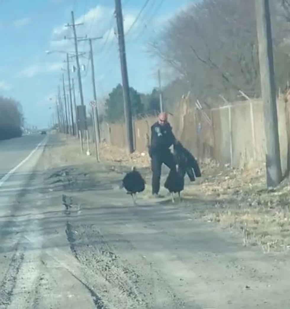 Video Goes Viral of Michigan Police Versus Turkeys