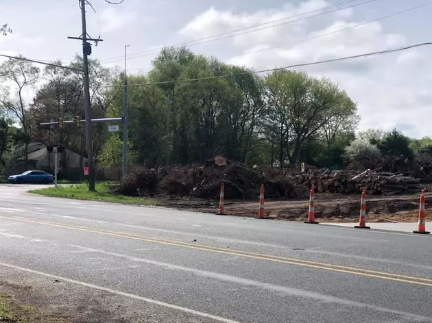 Why Are Trees Being Cleared At Sprinkle &#038; H Ave In Kalamazoo?