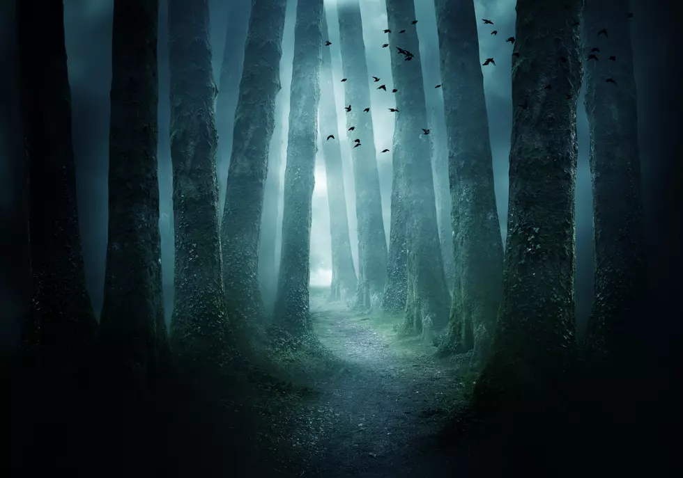 There’s No Way These 5 Michigan Urban Legends Are True…Right?
