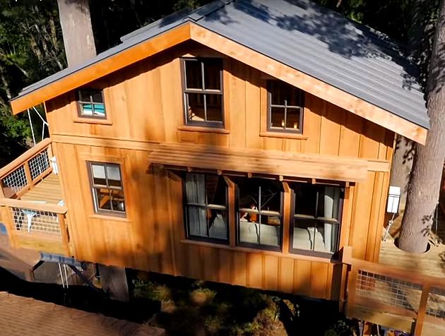 Michigan Man Gives Wife Huge Treehouse for Anniversary on TV