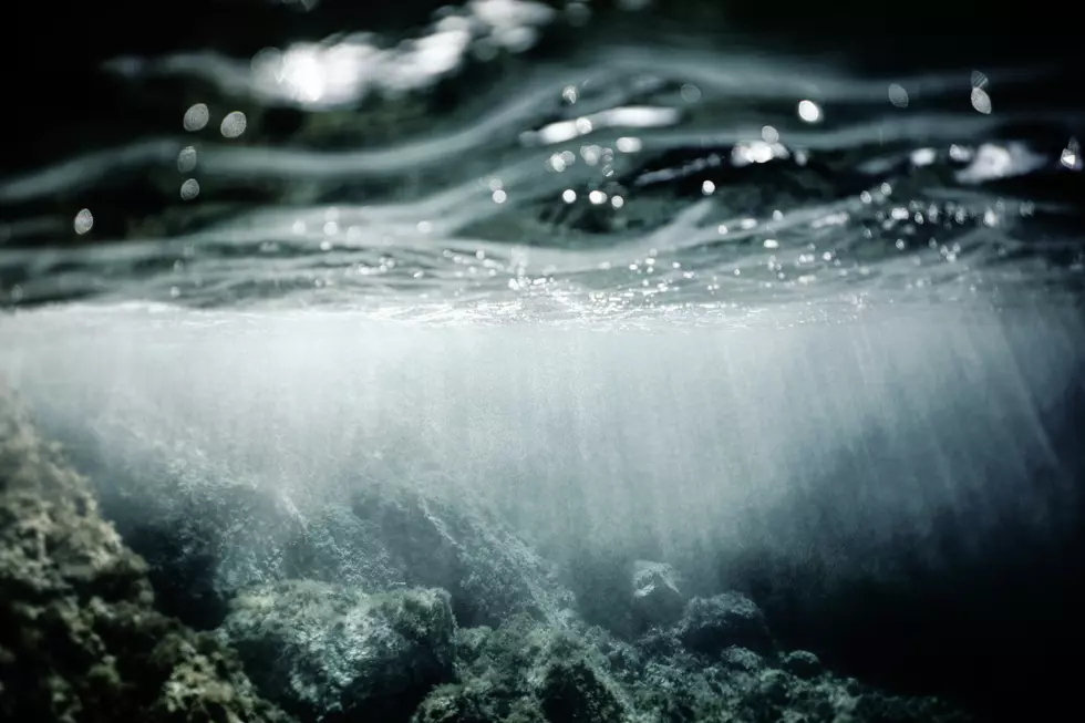 Is Kalamazoo’s Beach The Watery Grave of a 100 Year Old Roller Coaster?