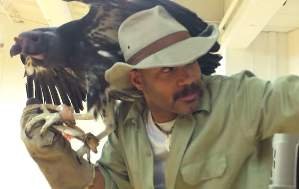 Nelson “The Animal Guy” Bringing Wildlife Safari To Kalamazoo