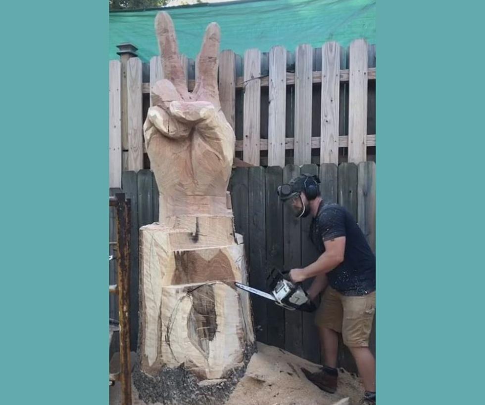 Kalamazoo Man Carves Out a Place on TikTok with Chainsaw Art
