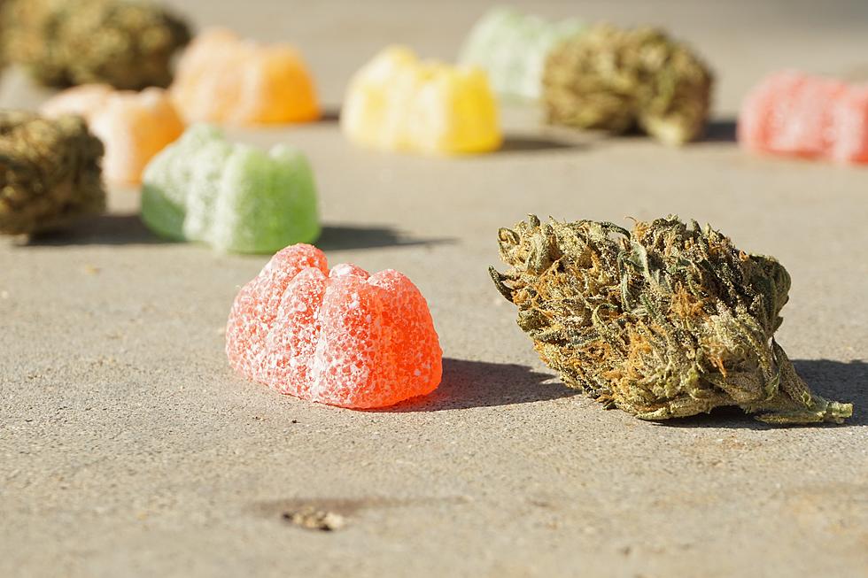 Michigan Potheads Warn Trick or Treaters No Marijuana Edibles Will Be Given Out
