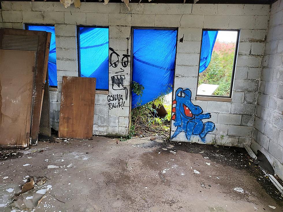 Alma, Michigan's Abandoned Alice's Wonderland Waterpark