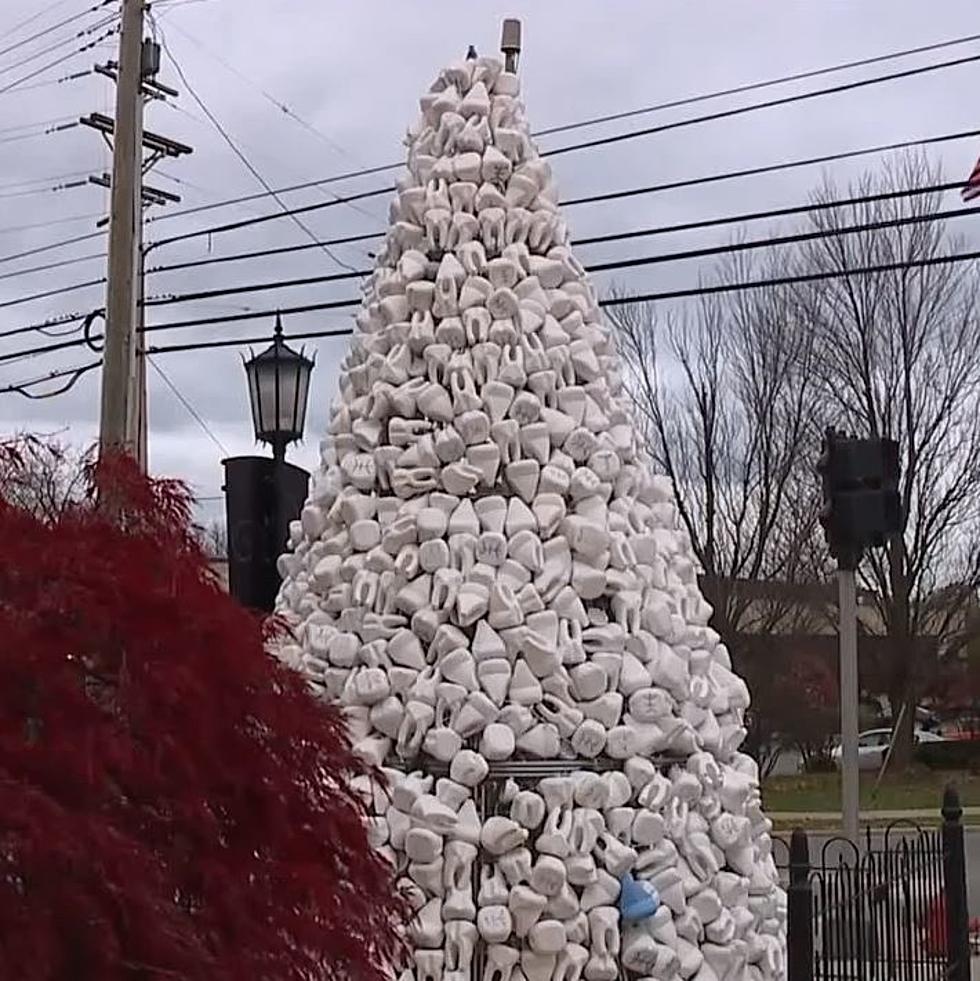 Michigan Now Has The Only Christmas Tree in World Made Of What?