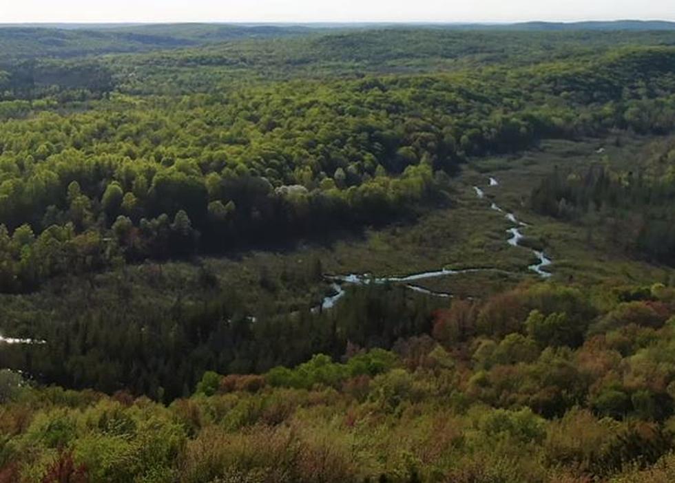 The Tragic Story of Deadman’s Hill Scenic Overlook In Elmira, Michigan