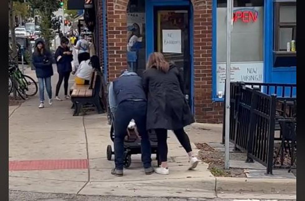 Dancing Ann Arbor Parents Go Viral on Tiktok. Do You Know Them?