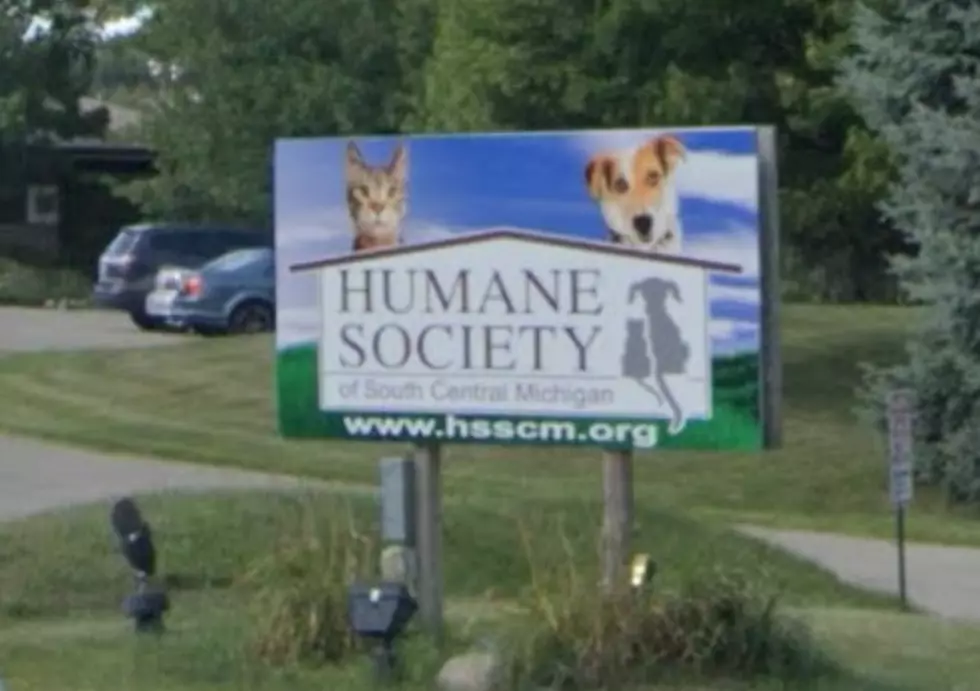 Google Street View
