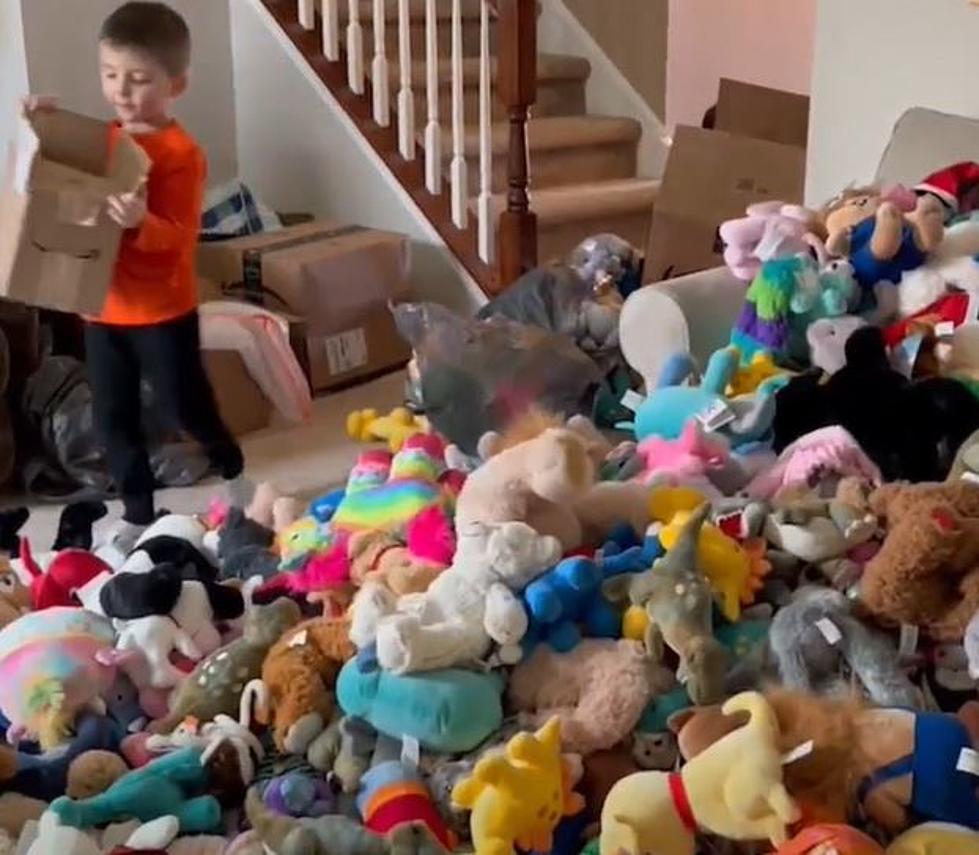 Indiana Boy Donates Hundreds of Stuffed Animals to Kids in Need