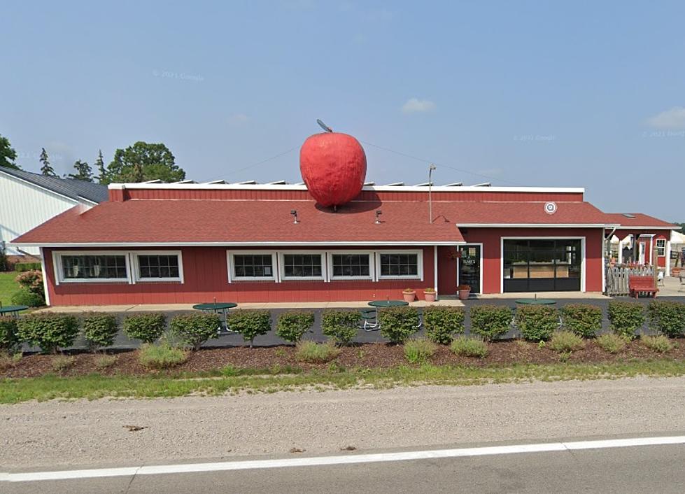 5 More Oversized Foods You Can See in Michigan TODAY