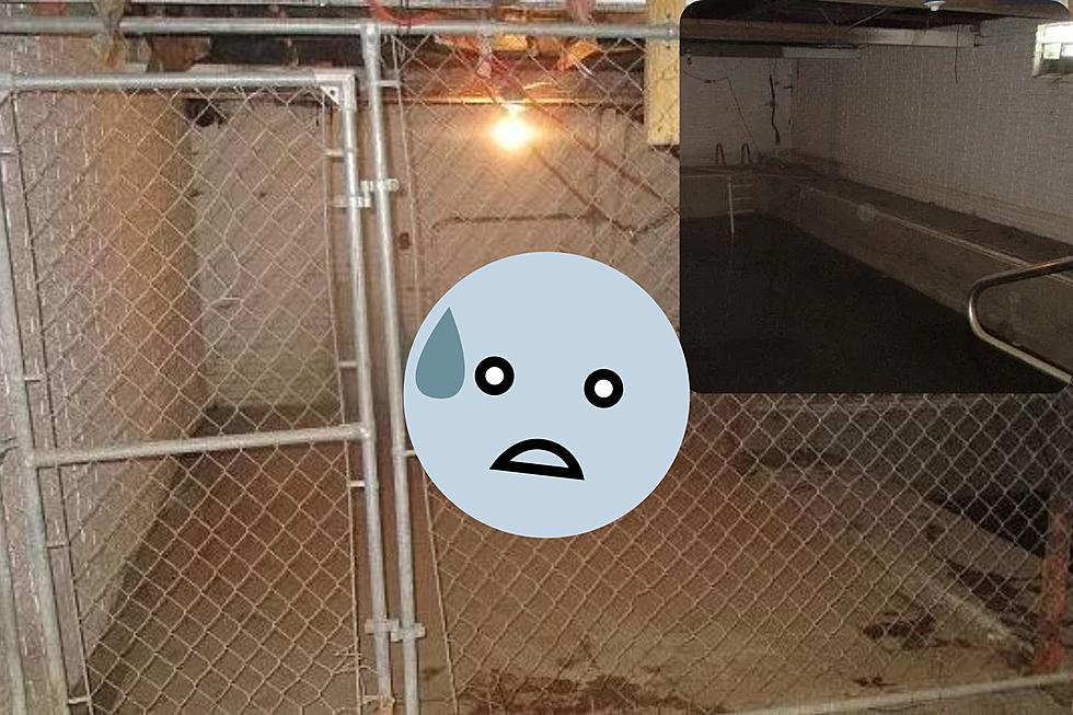 A Basement Pool in a Cage? No Wonder this Ohio Home is so Cheap