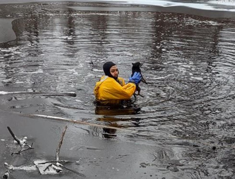 South Haven First Responders Rescue Elderly Dog From Frozen Pond