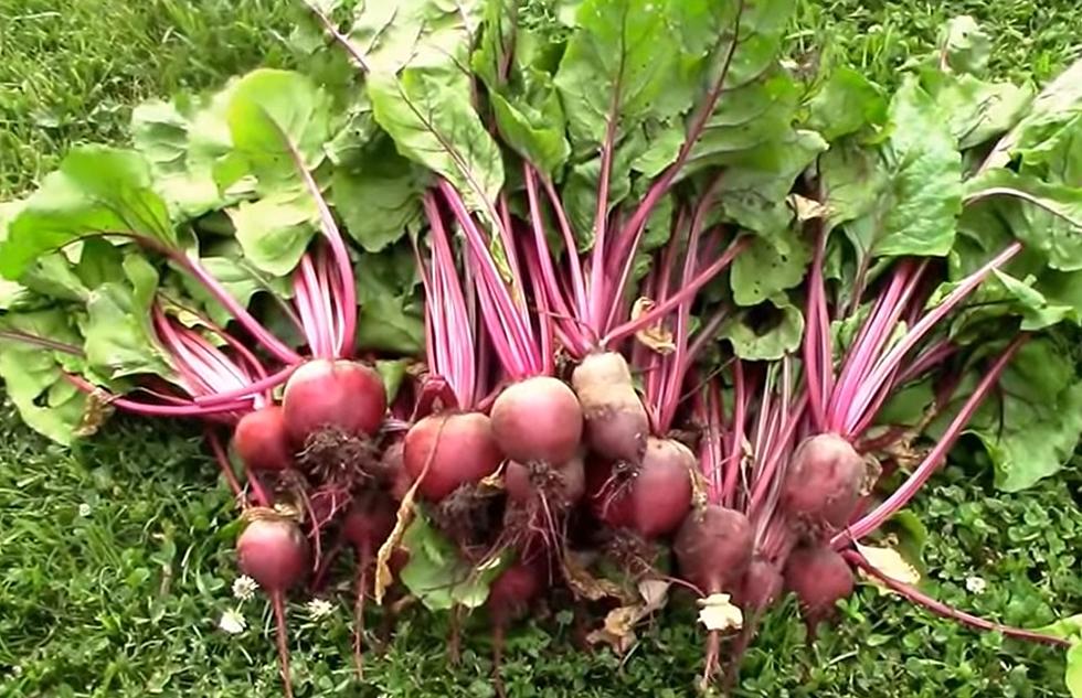 How Much Do You Know About the Detroit Red Beet?