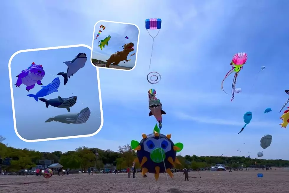 See the Stunning Kites from Grand Haven’s 2022 Kite Festival