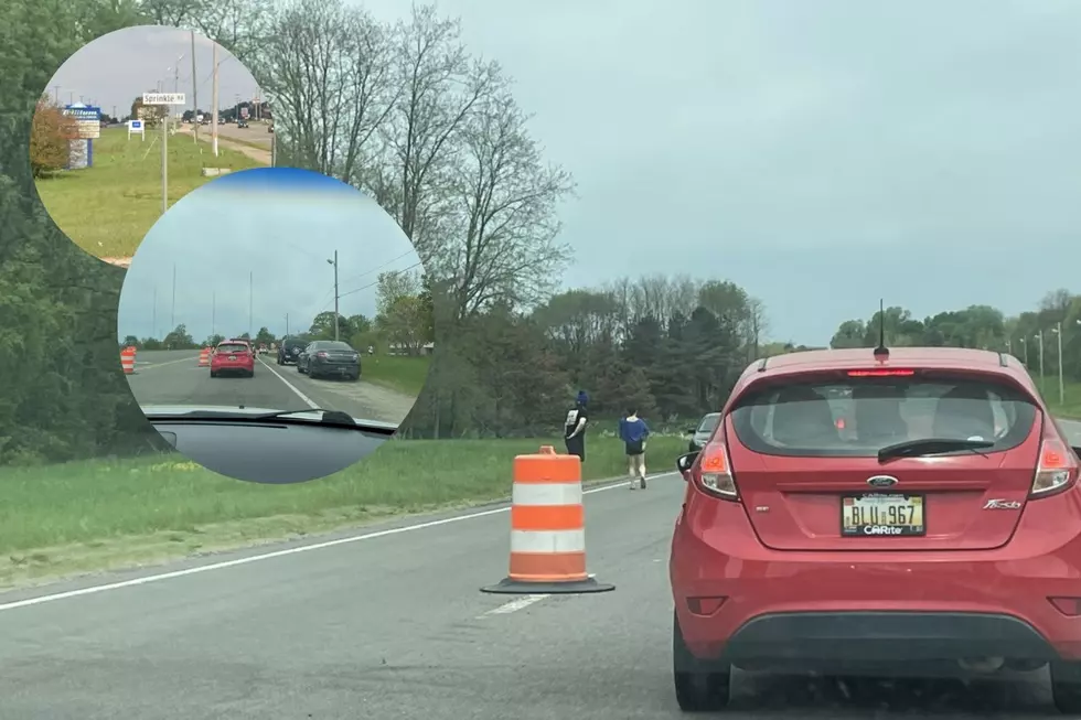 Man Sprints Wrong Way Down Sprinkle Road to Save Runaway Dog