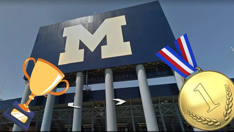 University Of Michigan Sports Dominate The Big Ten