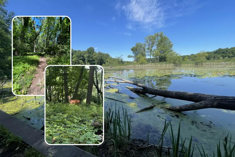 Another Hidden Gem? Kalamazoo’s Asylum Lake Preserve is Marvelous