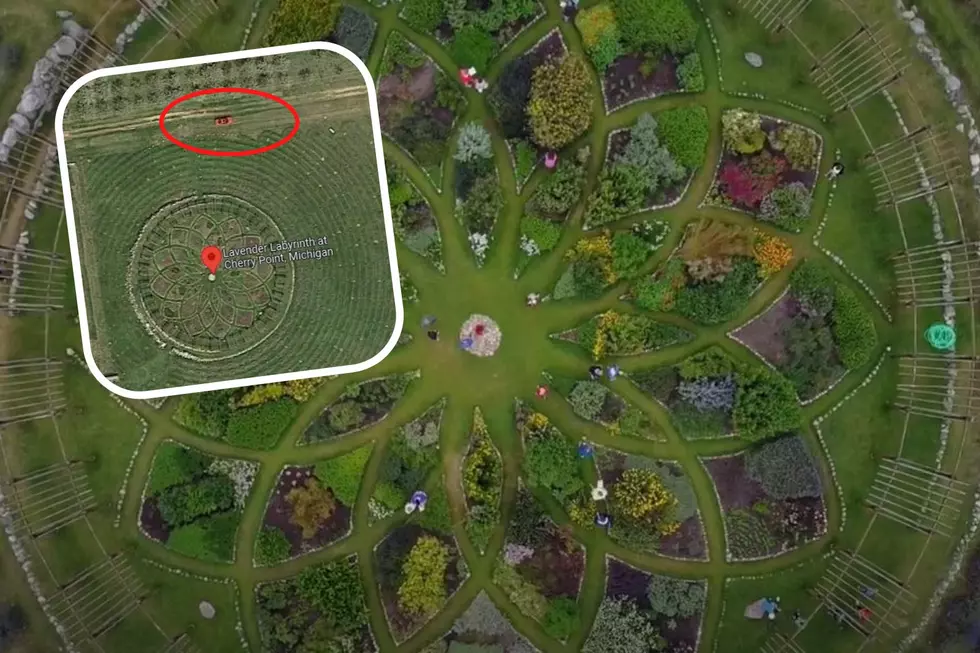 This Michigan Lavender Labyrinth Is Clearly Seen on Google Maps