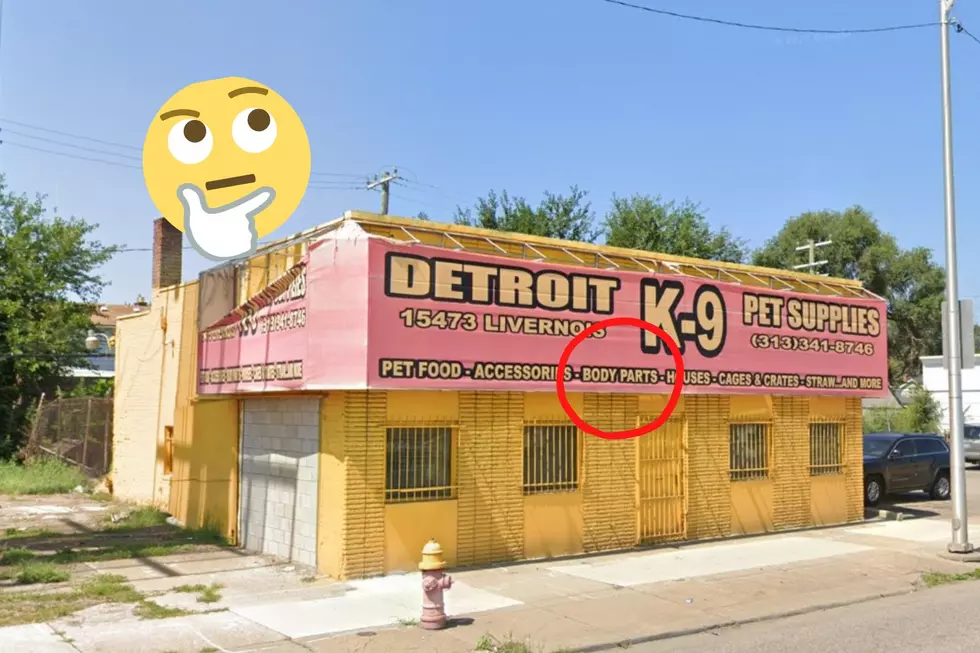 No, Detroit Pet Store Selling "Body Parts" Isn't What You Think