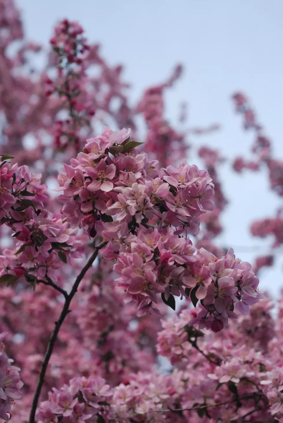 Photo by Jael Coon on Unsplash