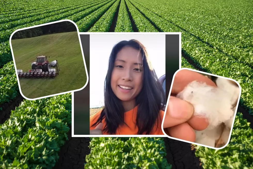 Venture Into &#8216;FarmTok&#8217; Thanks to This Tiktok Creator