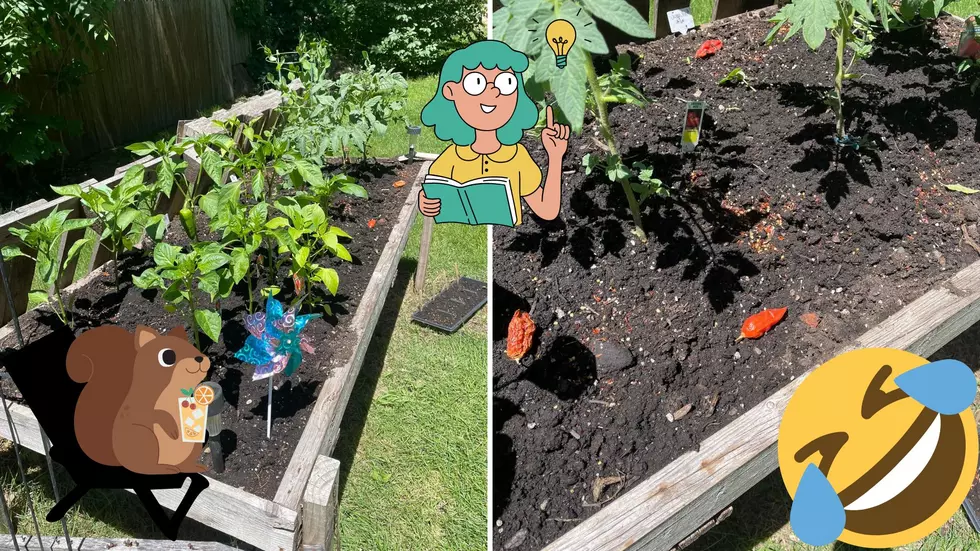 Clever Gardening Tips and Funny Reactions From Kalamazoo Neighborhood