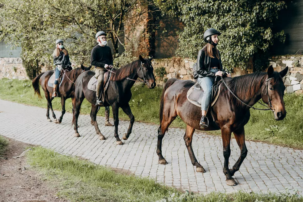 3 West Michigan Stables Who Offer Guided Horseback Riding