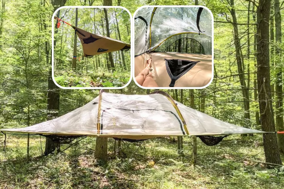 Would You Stay in This Michigan &#8220;Hanging Oasis&#8221; for $100 a Night?