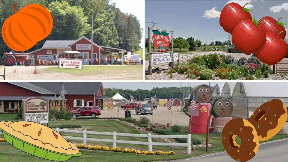 4 Apple Orchards In SW Michigan For The Whole Family