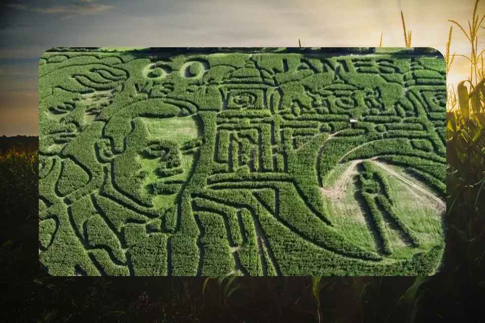 Have You Seen the Giant Illinois Corn Maze Honoring James Bond?