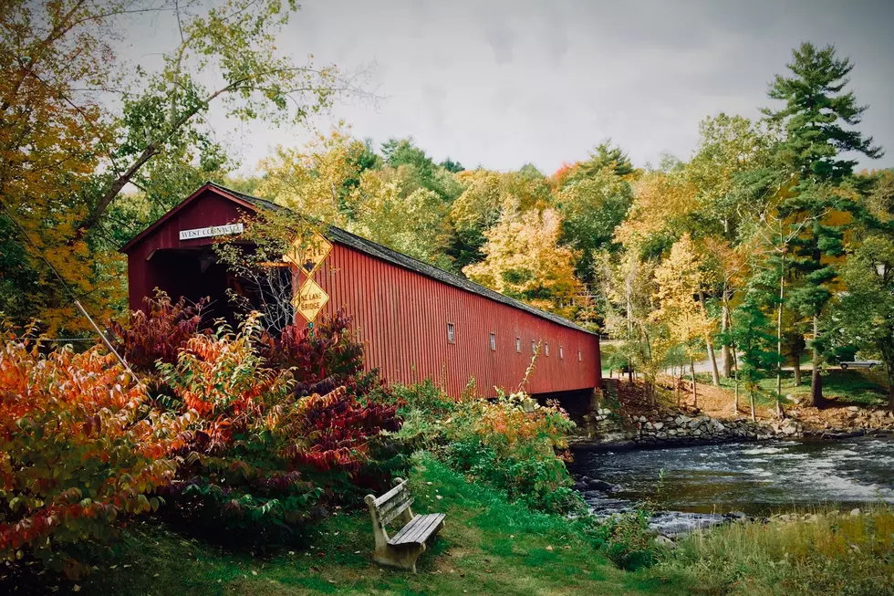 These Are the Only 3 Covered Bridges You Can Drive Across in Michigan