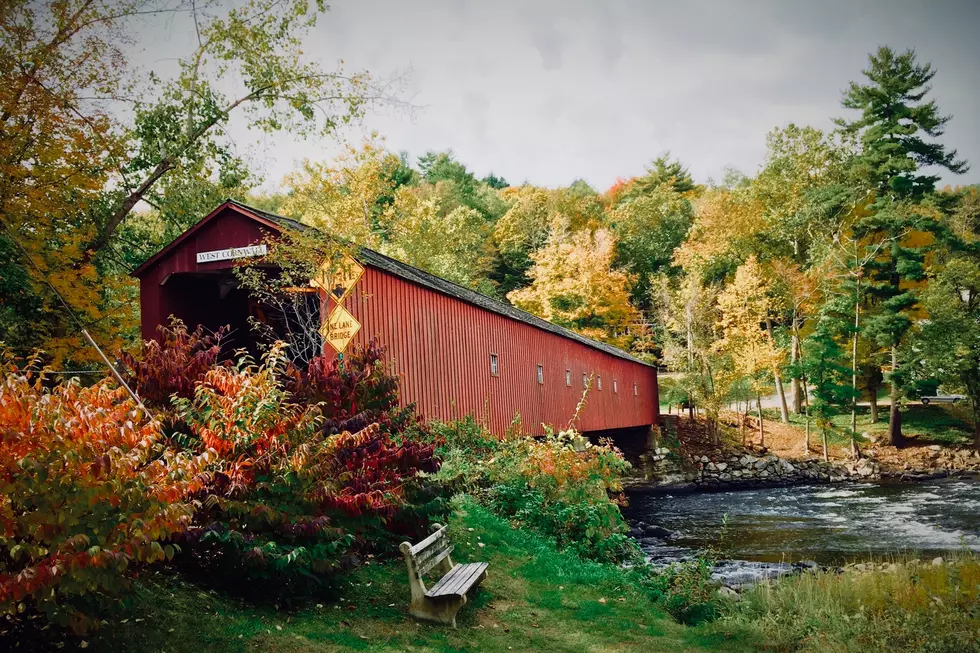 3 Covered Bridges Near West Michigan That Are Open to Vehicles 