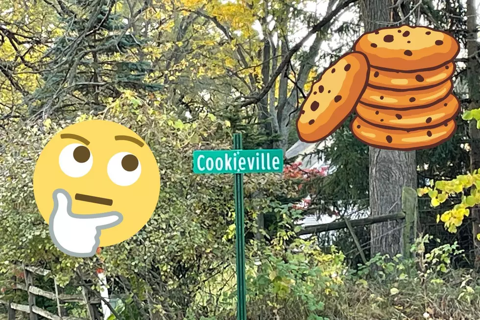 What&#8217;s a Cookieville? Residents Question Mysterious Local Signage in Gun Plain Township