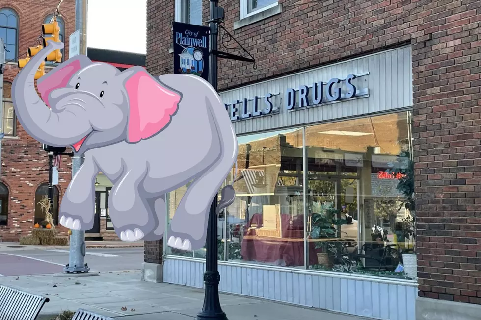 Yes, An Elephant Really Did Get Trapped in A Plainwell Basement
