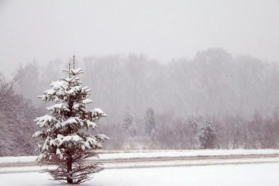 Here&#8217;s When We Can Expect the First Snowfall in Kalamazoo