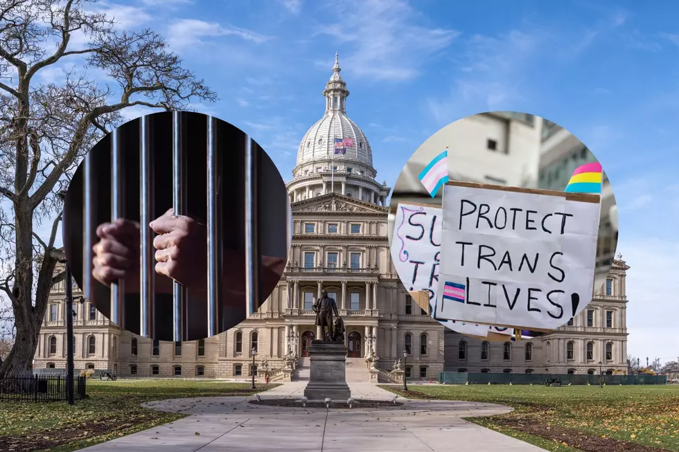 Michigan Anti-Trans Bill Could Send Parents to Prison for Life