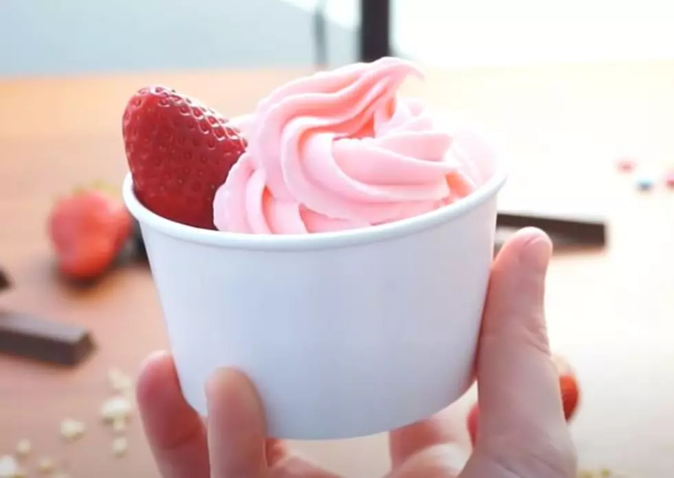 Craving FroYo? These 4 Kalamazoo Area Spots Can Help