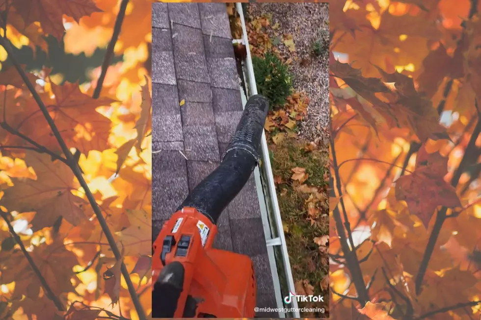 This Gutter Cleaning Hack Feels Like it’s Pure Michigan