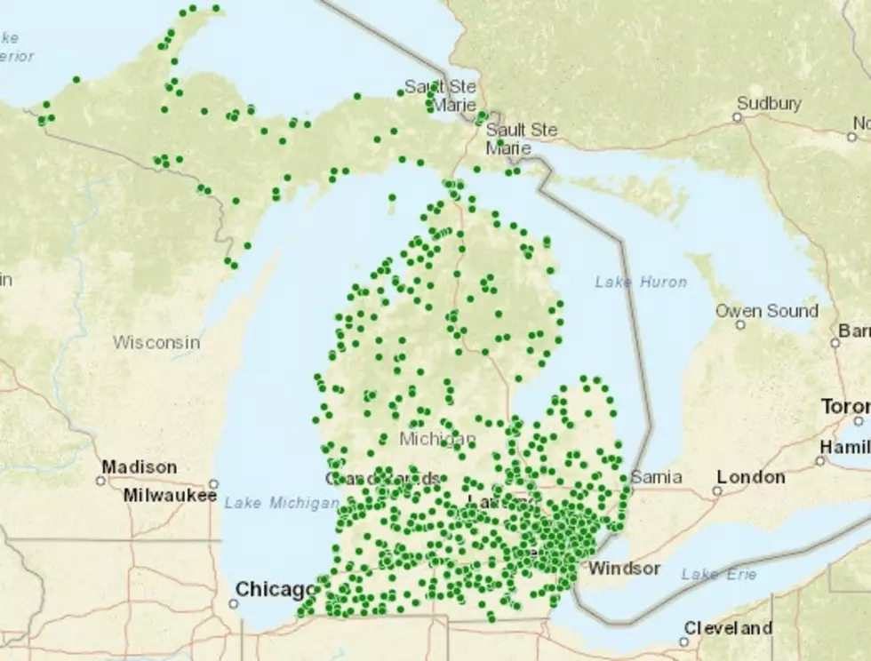 via Michigan DNR/Michigan History Center