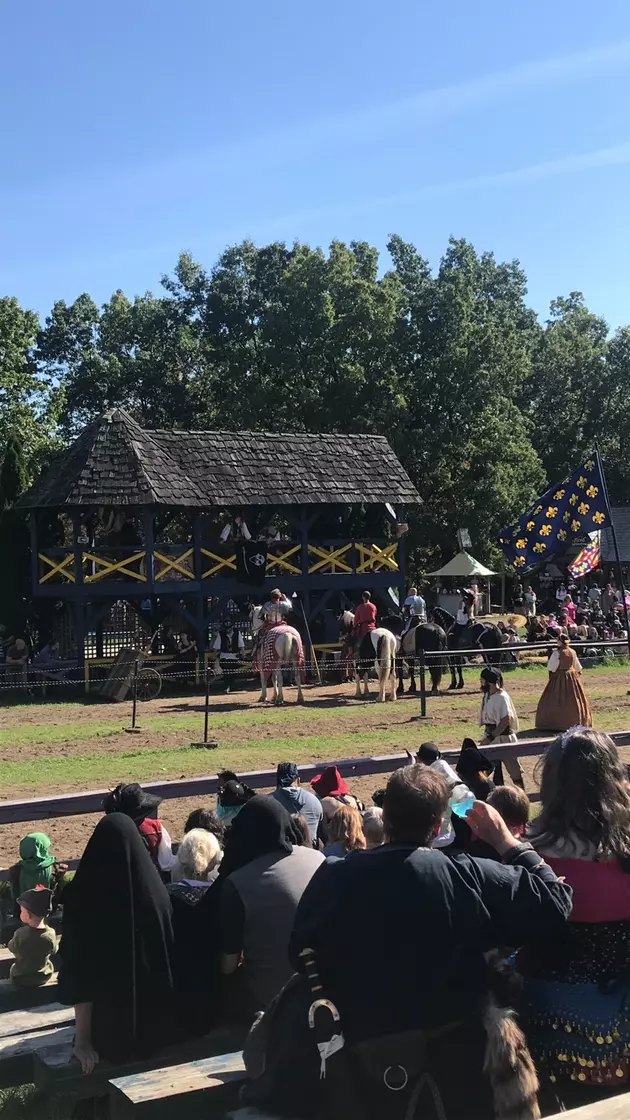 are dogs allowed at the michigan renaissance festival