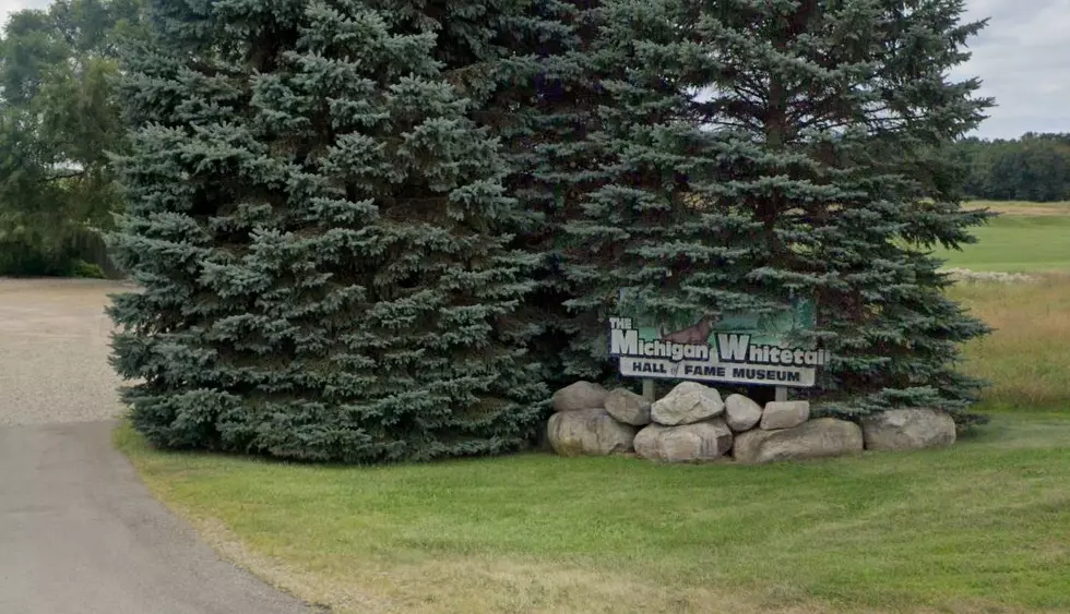 Via/ Google Maps