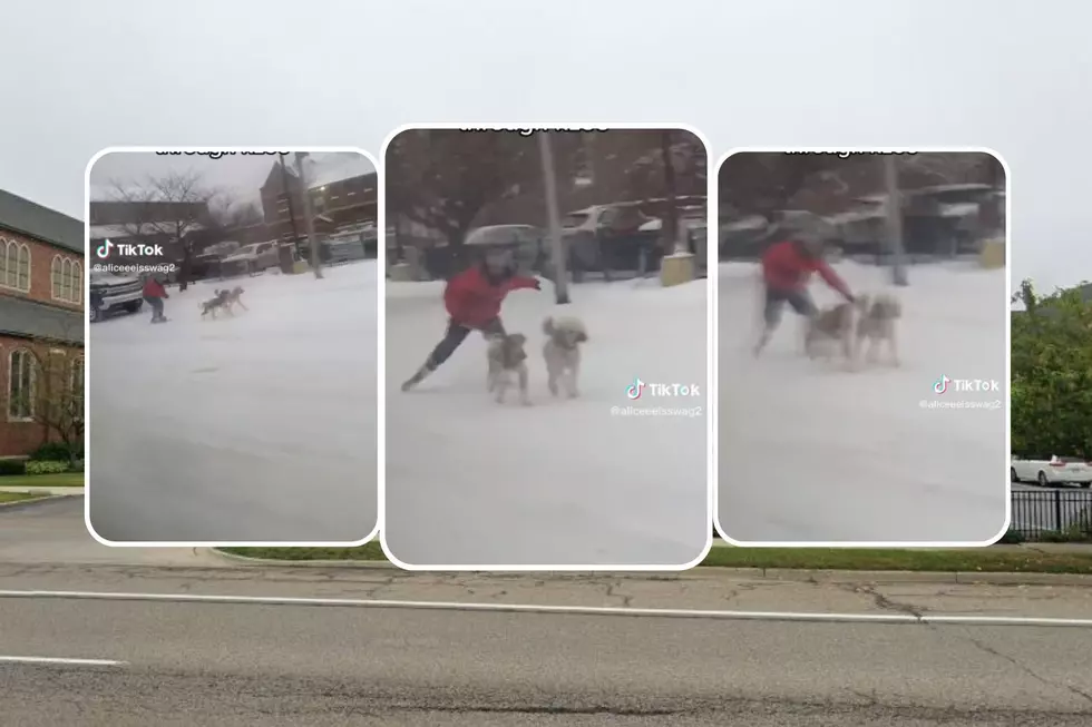 Dog Sledding Down Main Street? Yup...Must Be in Kalamazoo