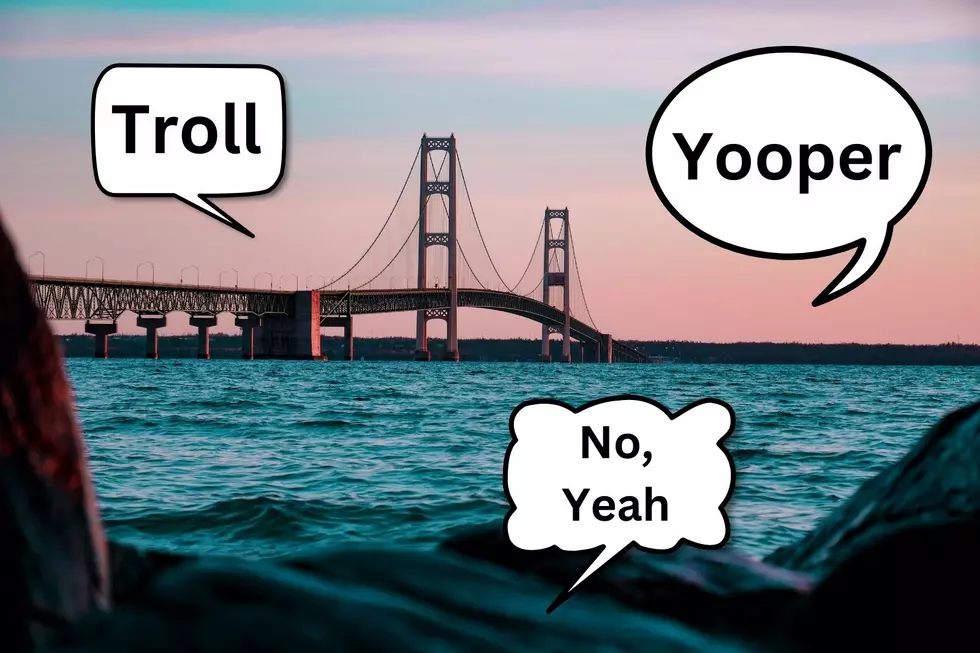 5 Words & Phrases You'll Hear Every Michigander Use Almost Daily