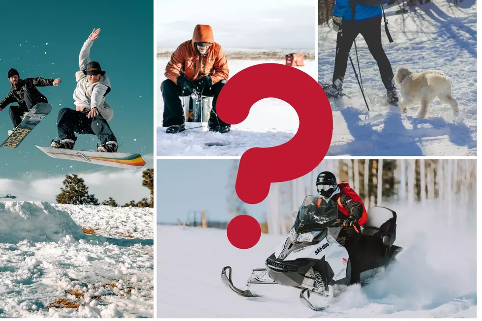 What is Michigan's Best Winter Activity?