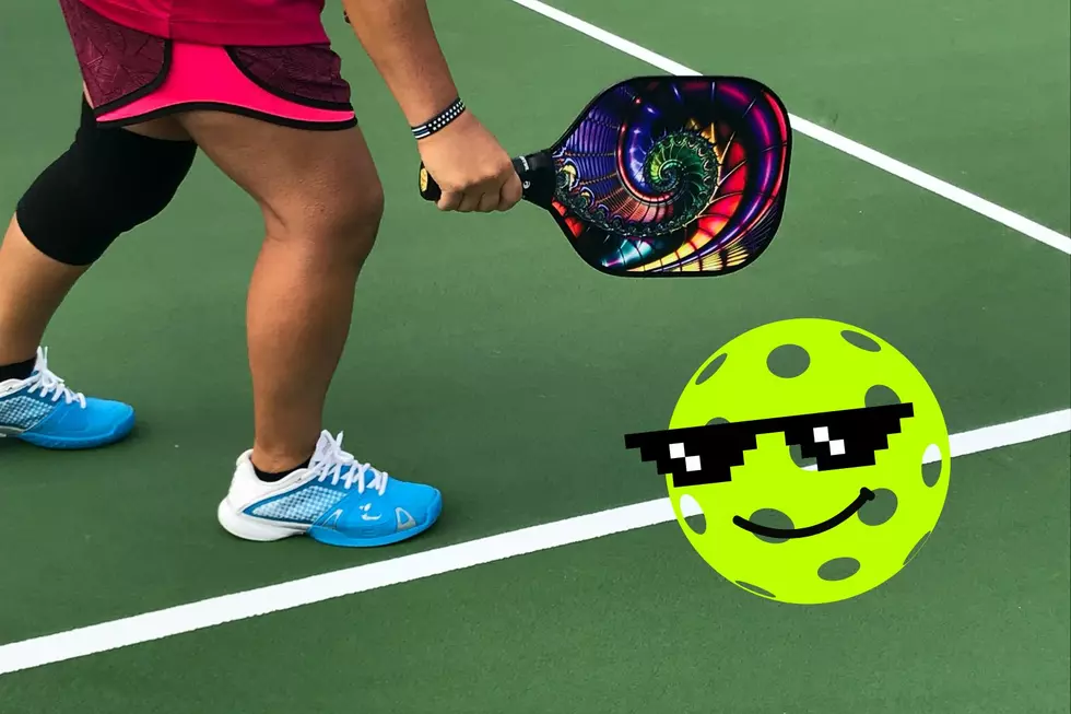 Game On! Where Can You Find Indoor Pickleball Courts Near Kalamazoo, MI?