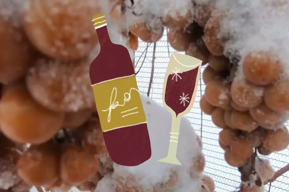 What Is Ice Wine And Why Is Michigan 'Ripe' For Producing It?