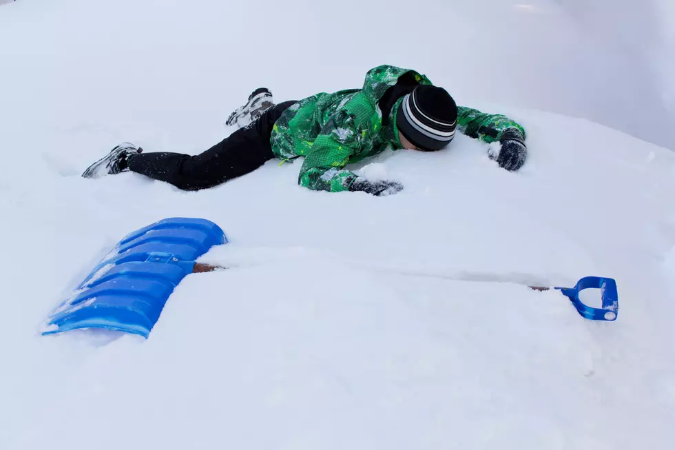 5 Affirmations For Michiganders Shoveling Snow for the 100th Time