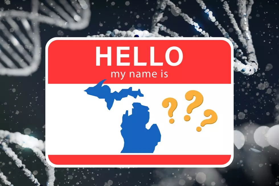 Do You Have One Of The 3 Most Common Last Names in Michigan?